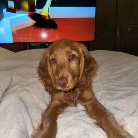 Cosy City Centre Guest Room Shared Home Galway Luaran gambar